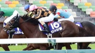 モズスーパーフレアが競走馬登録抹消