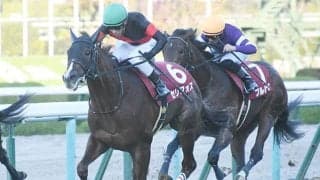 【朝日杯FS「見逃せない調教師」ベスト3】阪神マイル＋3番人気以内＝複勝率73.3％。人気で消せない○○調教師！