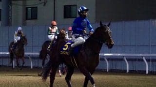 【全日本2歳優駿】松山「あと少しでした」コンバスチョンは2着