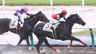 【全日本2歳優駿】ドライスタウトは6枠10番