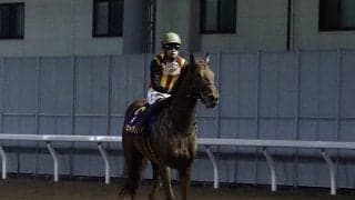 【全日本2歳優駿】三浦「終始脚が溜まらない展開…」レース後ジョッキーコメント