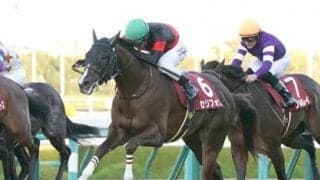 朝日杯FSは「２歳戦向き」の血統から絞る。今後の重賞戦線で輝きそうな２頭とは？