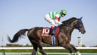 【次走】菊花賞2着オーソクレースはAJCCから始動