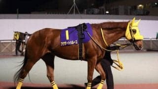 【東京大賞典】アナザートゥルースの鞍上は松山騎手　クロスケ、ノーブルサターンが繰上で出走可能に