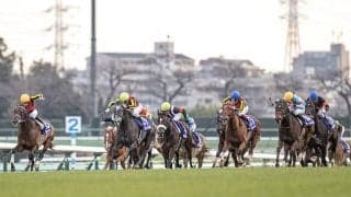 【有馬記念】ボックスシートは倍率“84.9倍” 指定席抽選発売の申込状況発表