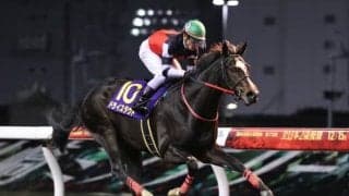 【全日本2歳優駿回顧】レースレコードで圧勝、ドライスタウト/斎藤修