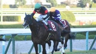 【朝日杯FS 調教後馬体重】セリフォスは488kg、ジオグリフは496kg