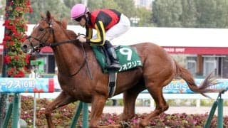 【朝日杯FS】出走馬の調教後の馬体重