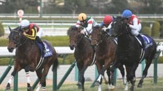 【朝日杯FS】今年も“将来的に短距離路線で活躍する馬”に注目を