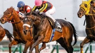 【ターコイズS予想】過去6年で「二桁人気馬」が5頭激走！ データからは今年も波乱の可能性