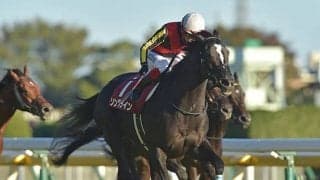 【阪神C想定】富士S覇者ソングラインは池添謙一騎手、連覇狙うダノンファンタジーは藤岡佑介騎手