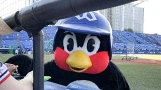 FA宣言の「つば九郎」争奪戦にBC栃木が参戦　チアの美女2人が動画でラブコール