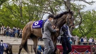 【本日の注目ポイント】中山でターコイズS、グランアレグリア引退式など