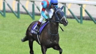 【ターコイズS予想】トリッキーなコース×牝馬限定×ハンデ戦、波乱含みで難解な一戦