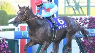 【朝日杯FS予想】重要なのは「ラスト1ハロン」!? 出走馬の半数近くが満たせていない「条件」とは…