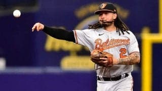 鷹新助っ人ガルビスは2年総額8.4億円超の大型契約　米記者伝える