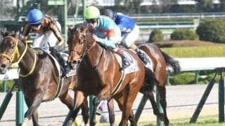 【阪神5R新馬戦結果】ショウナンパンドラの仔パンドレアが鋭く差し切り新馬勝ち