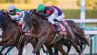 【朝日杯FS前日オッズ】セリフォスが2.8倍で1番人気