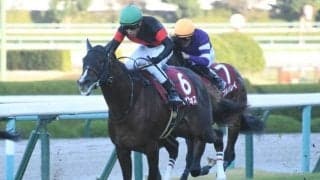 【WIN5予想】朝日杯FSは前走の格と出走頭数が明暗を分けそう