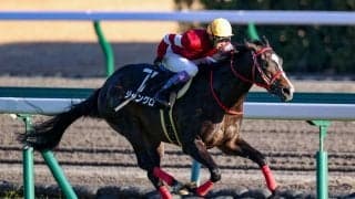 【中京2歳S】武豊ジャングロが逃げ切り