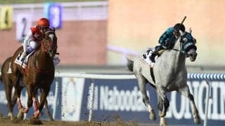 【海外競馬】競走馬にドーピング　米のJ.ナバーロ調教師に禁錮5年、29億円以上没収