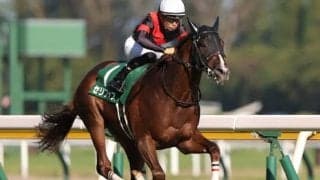 【本日の注目ポイント】2歳マイル王決定戦・朝日杯FS