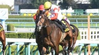 【朝日杯FS予想】伝統のGIレース、伸びしろが期待される若駒は!?