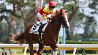 【朝日杯FS予想】7番人気以下で好走するパターンを探せ！ 堅い年の番だけど狙いたい穴馬とは？