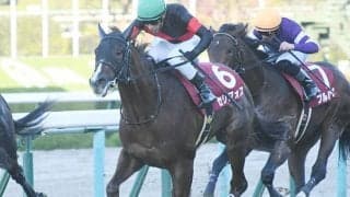 【朝日杯FS予想】AI本命「◎」はやっぱり「あの馬」!? 人気薄も交えた買い目で紐荒れに期待