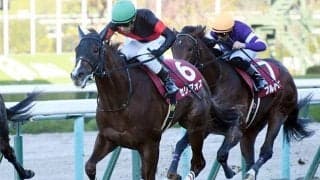 【朝日杯FS 13時時点オッズ】セリフォスが単勝2.8倍の1番人気、ジオグリフが3.2倍と差がなく続く