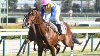 【阪神5R新馬戦結果】外国産馬エアアネモイが逃げて3馬身差圧勝