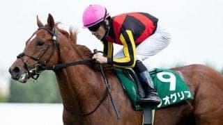 【朝日杯FS・馬体重】ジオグリフは496kg(+4)、セリフォスは486kg(0)