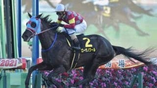 【ディセンバーS結果】ローザノワールが逃げ切り芝初勝利、3連単338万超の大波乱