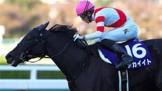 【有馬記念 注目馬(1)】鞍上はデビュー28年目でグランプリ初騎乗　再び金星を狙う今年の秋女王
