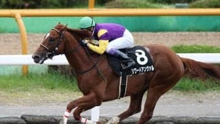 【JRA】藤原辰雄調教師が勇退、新規開業の村田一誠厩舎に管理馬36頭が転厩