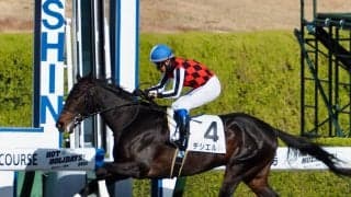 【新馬/阪神6R】ドレフォン産駒 デシエルトが7馬身差圧勝