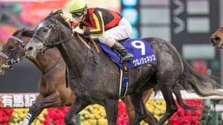 グランプリ女王vs3歳世代 暮れの大一番・有馬記念に注目/今週の競馬界の見どころ