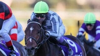 【朝日杯FS】武豊「（クラシックも）非常に楽しみ」レース後ジョッキーコメント