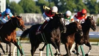 【阪神C登録馬】ソングラインなど22頭が登録