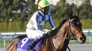 【朝日杯FS】売上は151億7363万2000円で昨年からおよそ1.6億円の増加