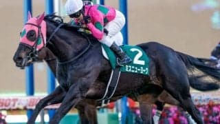 【ターコイズS】売上は43億1096万3500円で昨年からおよそ4千万円の増加