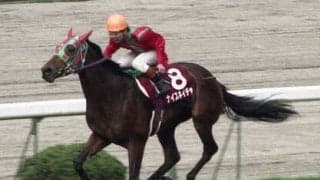 ウマ娘をきっかけに人気再燃。有馬記念で３年連続３着と競馬ファンに愛された名脇役・ナイスネイチャのストーリー