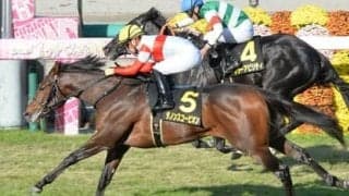 冠名「ダノン」に注意？ 阪神開催となってからの朝日杯FSには勝ち馬の法則がある