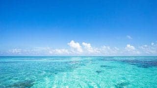 美しすぎる“海上HRダービー”が「全ての野球選手の夢」「水平線にぶち込むなんて」