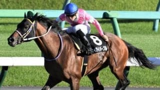 【名古屋グランプリ枠順確定】ヴェルテックスは8枠11番、ケイアイパープルは7枠8番