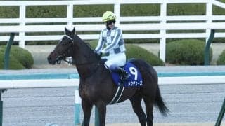 【朝日杯FSレース回顧】武豊騎手の見事な手綱捌き