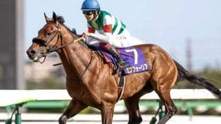 【有馬記念予想】暮れの大一番で母父の血が騒ぐ!? AI本命「◎」は上位人気確実な「あの馬」