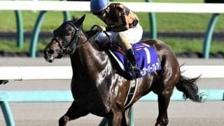 【先週のJRA抹消馬】高松宮記念覇者モズスーパーフレア、サトノレイナスの半姉バラーディストなど