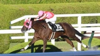 【りんくうSハンデ確定】ウルトラマリンは54.0kg、エアアルマスは58.0kg