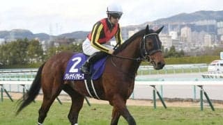 【阪神C想定騎手】グレナディアガーズはC.デムーロ騎手、ソングラインは池添謙一騎手